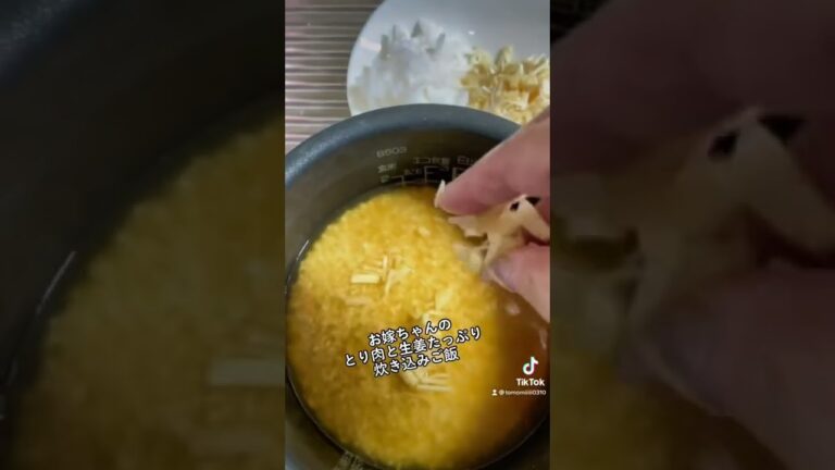 お嫁ちゃんのとり肉と生姜たっぷりの炊き込みご飯