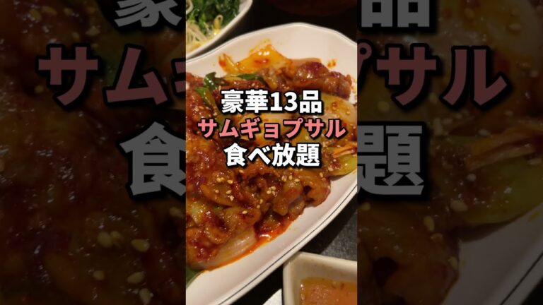 赤坂【豪華13品サムギョプサル食べ放題】