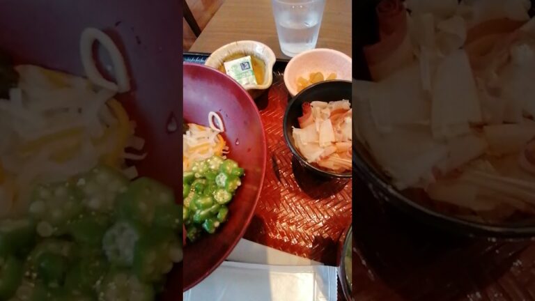 大戸屋（ネバネバ〜、ばくだん丼）