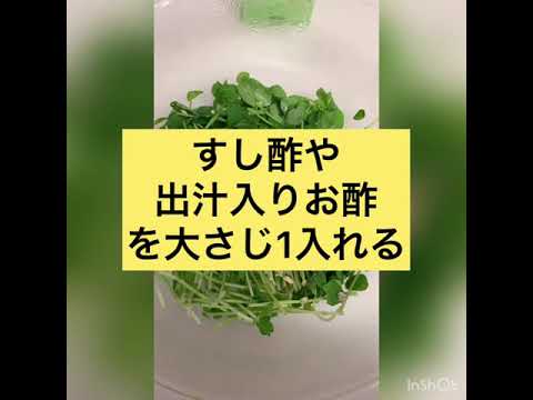５分で出来る！激ウマ豆苗ナムル