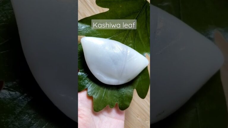 柏餅 Japanese sweets- kashiwa mochi of Children's day #shorts