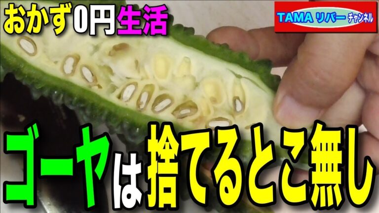 【おかず〇円生活】ゴーヤを使い切る！ワタと種を捨てるのは勿体無い♪