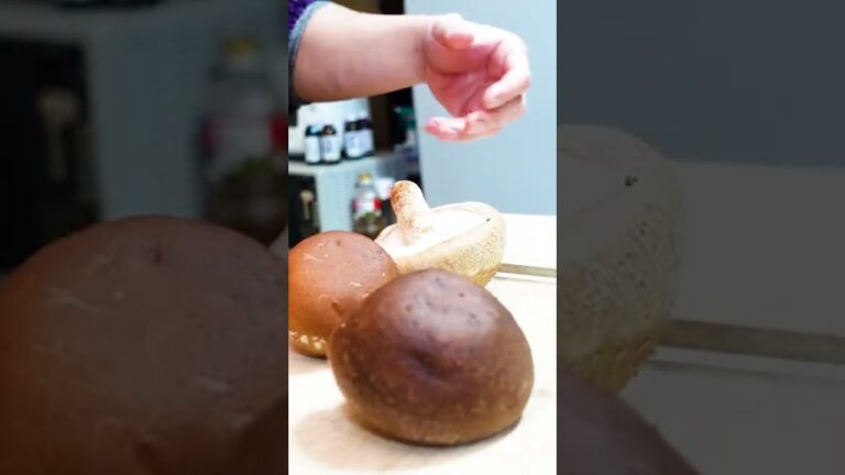 【ガリバーの椎茸の肉詰め】ふわもちの椎茸に、しっかり乗ったお肉が美味い！白飯がいい！説明欄にレシピあるよー