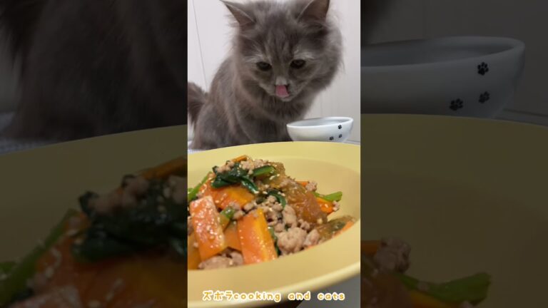 小松菜のチャプチェwith cats