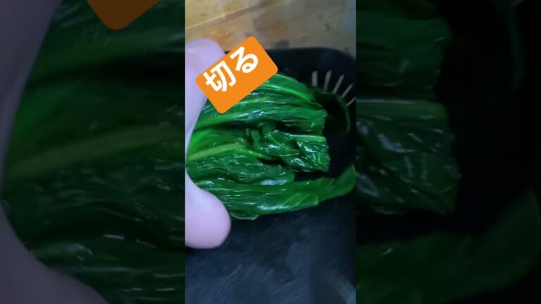簡単！！ほうれん草のお浸し✨