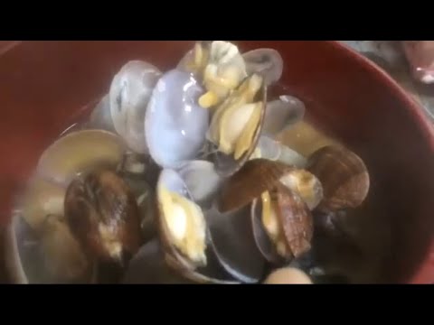 [お手軽な料理]美味しいアサリのお味噌汁(静岡産)旨みたっぷりのご紹介 オススメです