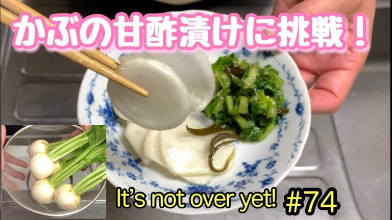 かぶの甘酢漬けに挑戦！超簡単で美味しい漬け方見つけた‼️たぬきッチン【アラ還暦バツイチ週末Vlog】