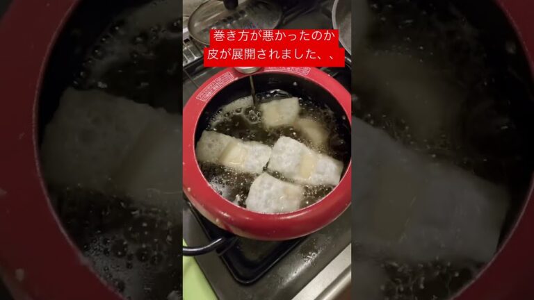 餃子の皮で簡単、春巻き（具はトロけるチーズと鶏胸肉、一部、梅肉入り）