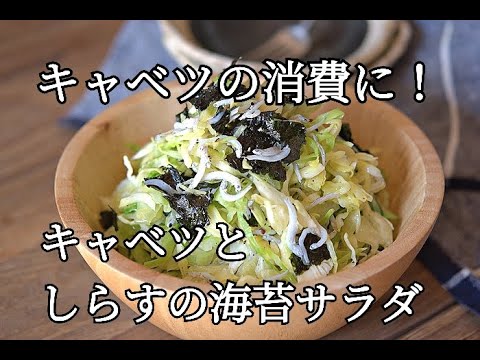 【キャベツの消費】キャベツとしらすの海苔サラダの作り方