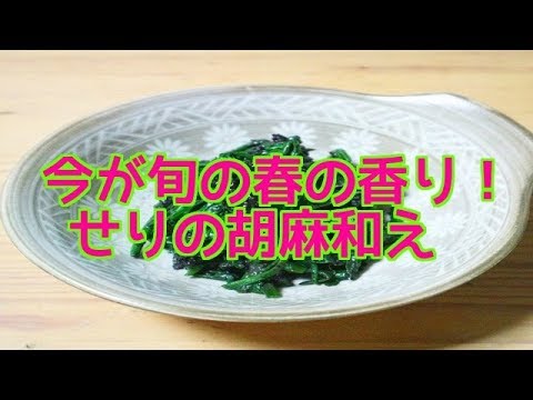 今が旬！春の香り！せりの胡麻和え