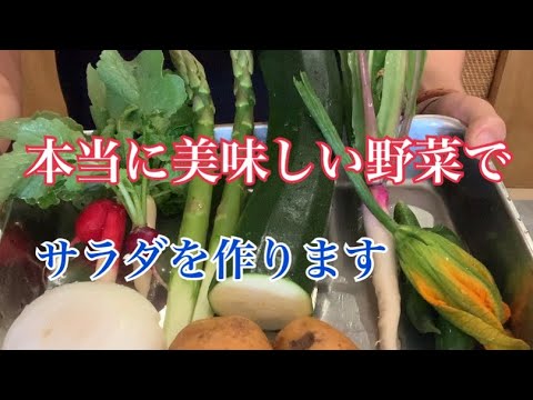 【花ズッキーニと夏野菜のサラダ】※ズッキーニ、ミニトマト、アスパラ、ミニ大根、ミニキュウリ、他