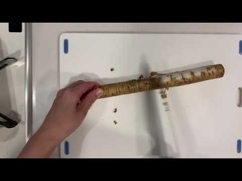 【作り置き】一週間保存★牛肉とごぼうのしぐれ煮