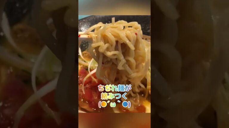 【田所商店】【紹介】夏にぴったりの涼麺✨味噌冷やしタンタン麺❗️ラー油によるピリ辛と味噌と胡麻ダレ冷製スープが絶品でした【岐阜 ラーメン】