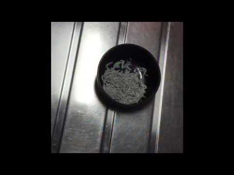 リアルな夕食＊しらすオムレツ