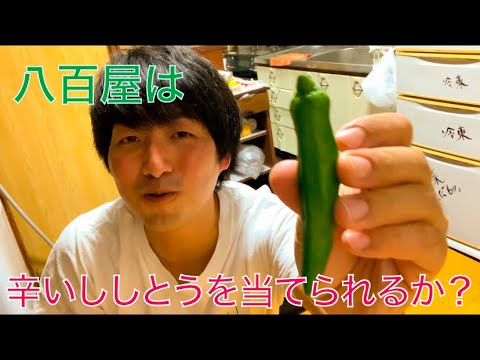 ししとうは何故、辛くなるのか？『沖縄の八百屋』解説