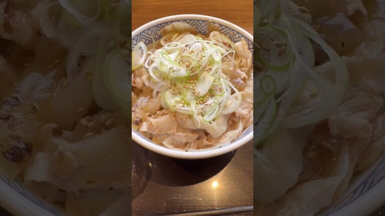 牛丼より豚丼の方が好きな少数派を募集する逆張り野郎。《吉野家》#吉野家 #豚丼 #逆張り