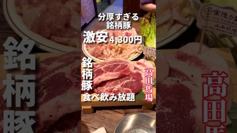 銘柄豚が4,300円で食べ飲み放題は激安すぎる【高田馬場】匠サムギョプサル