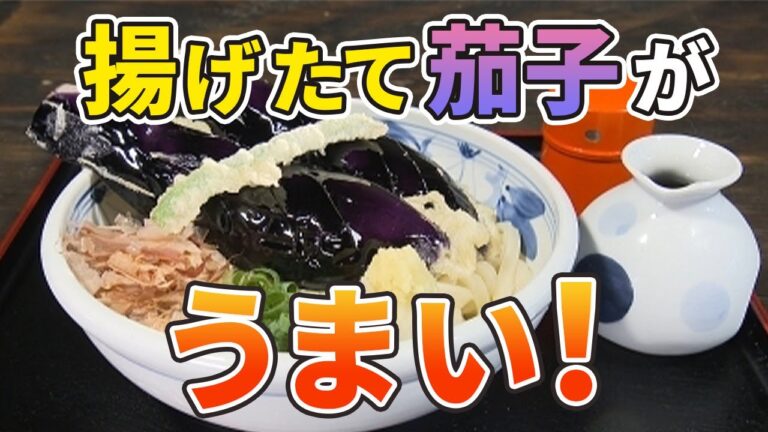 うどんにはなす天だ！甘めのつゆが染みわたり三島の素材が光る絶品うどん★☆