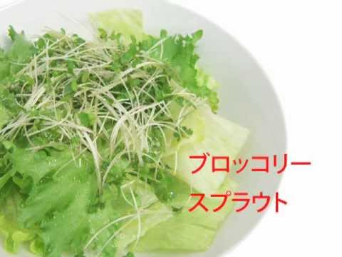 レタスと粉チーズのサラダ　フレッシュスプラウトトッピング！