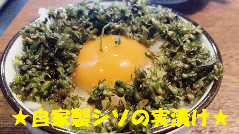 【紫蘇の実醤油漬け】作り方★この香りとプチプチ感がたまらない