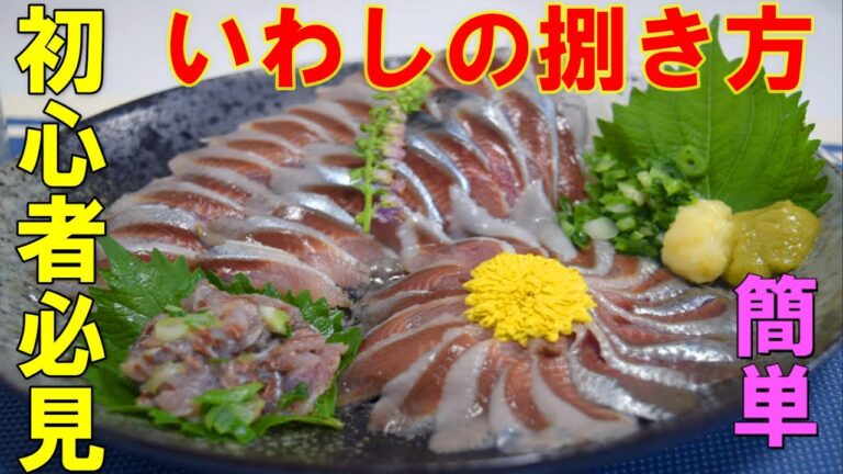 【初心者必見】いわしの捌き方を徹底解説します！