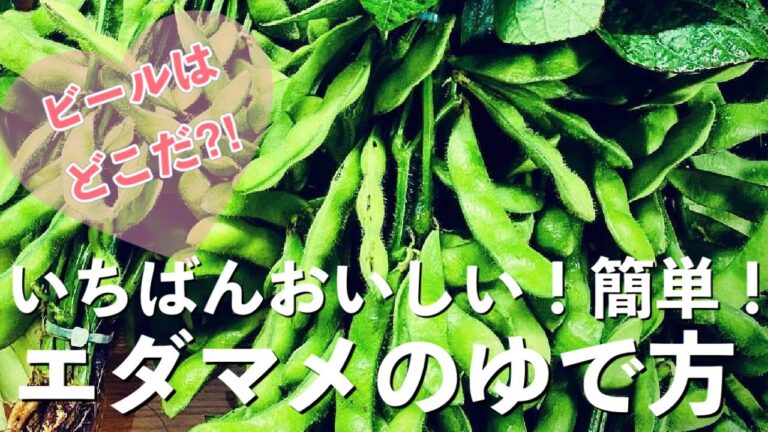 枝豆のゆで方 １番美味しくて簡単な方法