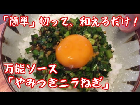 絶対にマネしたくなる！万能ソース「やみつきニラねぎ」【料理動画】【簡単レシピ】【おつまみ】【作り置き】