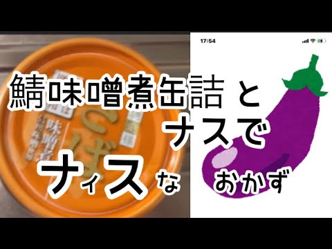 鯖味噌煮缶も値上げ…でもナスと炒めたら　お値段以上です