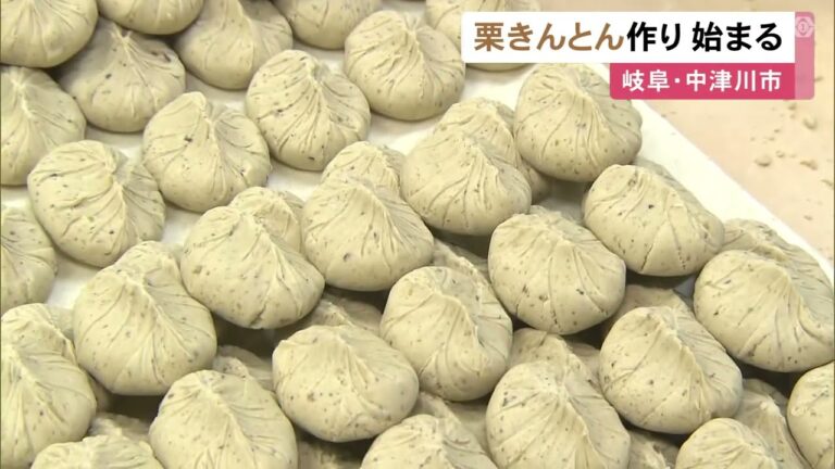 秋の味覚…中津川市の老舗和菓子店『川上屋』で栗きんとんづくり始まる ピークとなる10月にかけて1日4万個