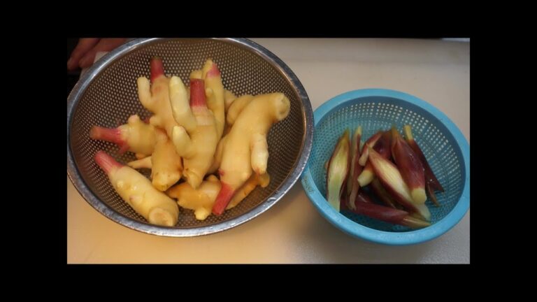 新生姜と茗荷の甘酢漬け！作り方　ｂｙまかないチャレンジ