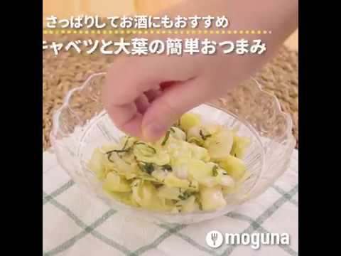 さっぱりしてお酒にもおすすめ キャベツと大葉の簡単おつまみ ｜ moguna[モグナ]