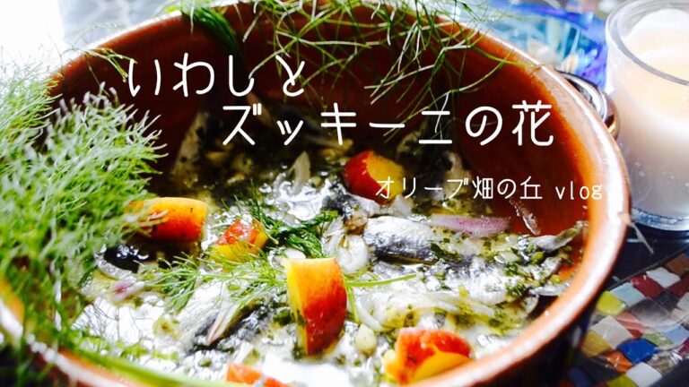 料理vlog｜野生フェンネル香るいわしのマリネ｜ズッキーニの花のフリットで初夏を楽しむ｜畑仕事トマトの手入れ ｜イタリア暮らし