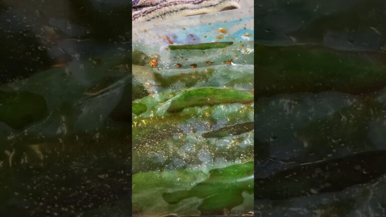 簡単なパリパリきゅうりの醤油漬けちょっと茹でるとパリパリに🥒