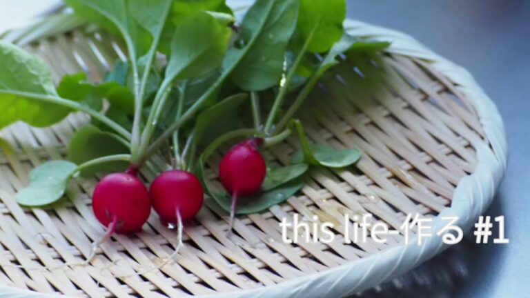 this life-作る　#1 育てたラディッシュを収穫。採れたての甘酢漬け