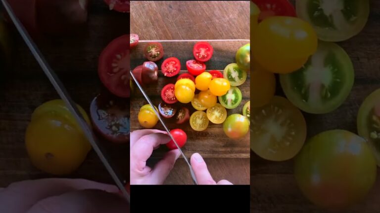 超簡単  カラフルトマトのカプレーゼ     #italian  #shorts  #サラダ