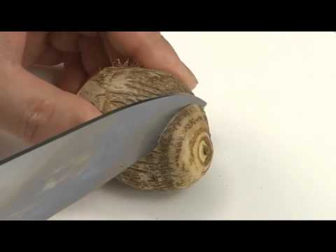 里いもの扱い方【料理の基本：野菜の下ごしらえ】