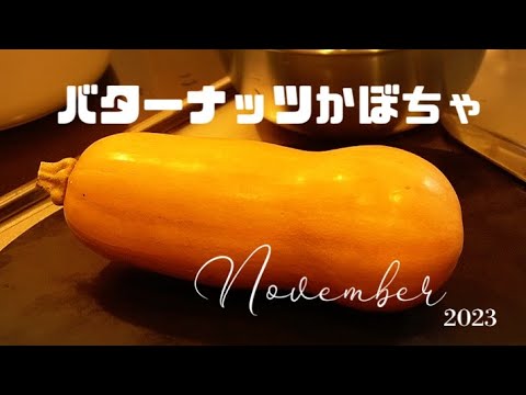 【バターナッツかぼちゃ】🎃絶品絹のポタージュ/秋の味覚を満喫🍁/コロンとしたかわいい形に癒される🍊🍎 butternut pumpkin