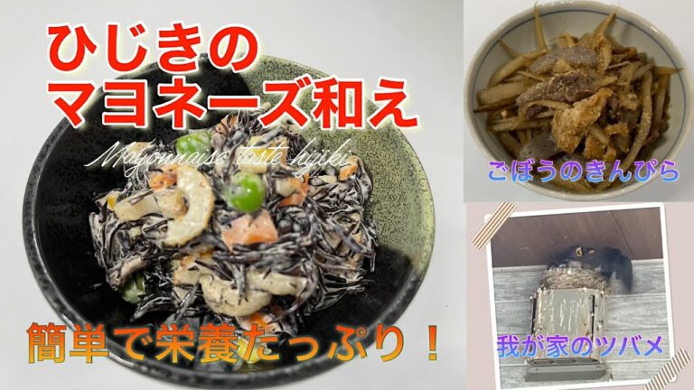 栄養たっぷり♪簡単にできる⭐︎ひじきのマヨネーズ和え&ご飯がすすむ⭐︎ごぼうのきんぴら【我が家のツバメ】Plenty of nutrition ♪ Hijiki mayonnaise flavor