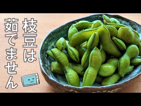 【レンジで超時短！】枝豆はもう茹でない！鍋要らずで簡単塩味枝豆のレシピ【レンチン食堂】