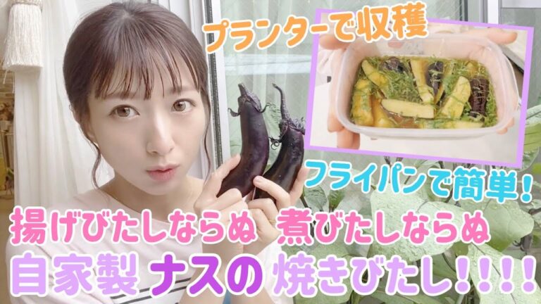 【収穫野菜で1品】自家製ナスの焼きびたし