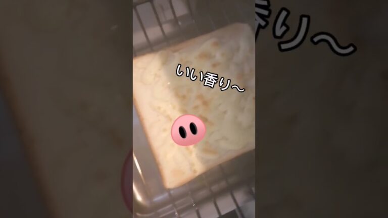 チーズ&ハニートーストの虜🍯#チーズ　#はちみつ　#チーズ&ハニートースト　#トースト　#朝食