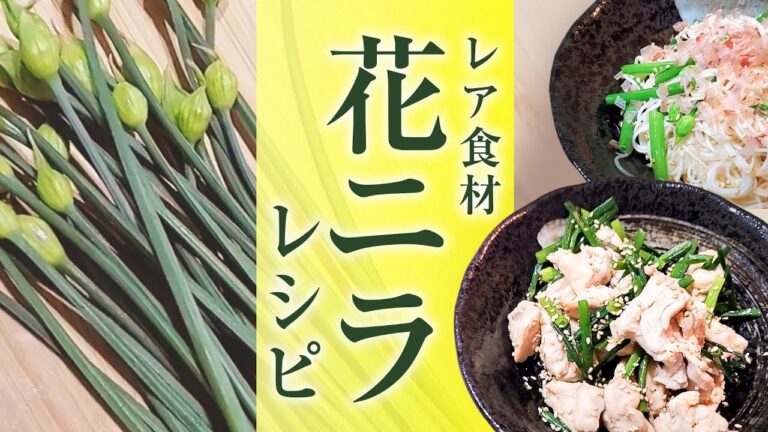 【花ニラ】の特徴から絶対試してほしい食べ方｜食材の知恵袋！