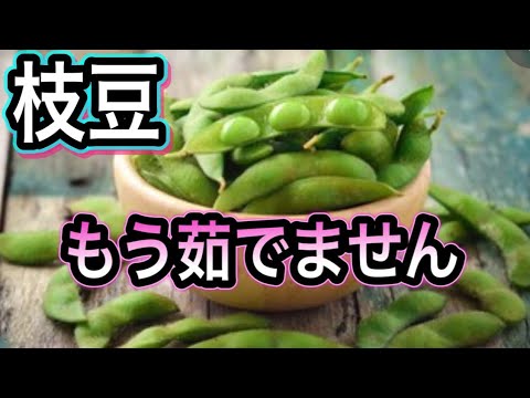 【枝豆は緑黄色野菜】茹でるより簡単！美味しくて健康効果がアップする方法