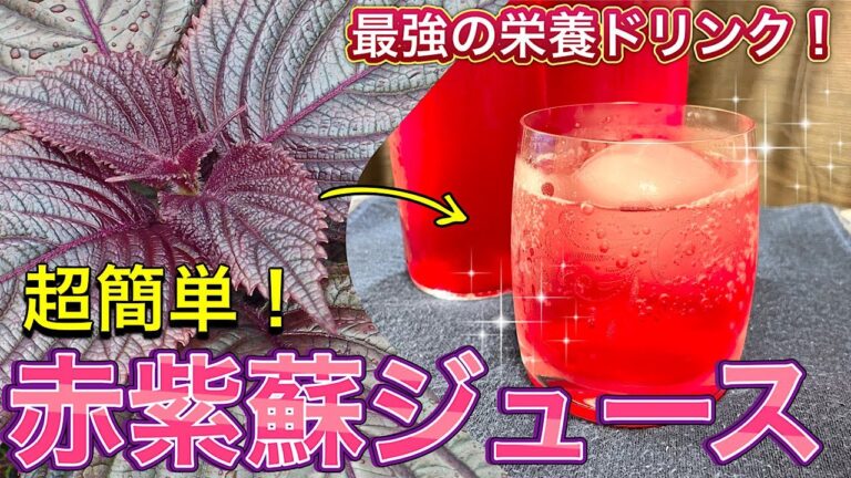 【材料は３つだけ】５分で簡単！紫蘇ジュースの作り方