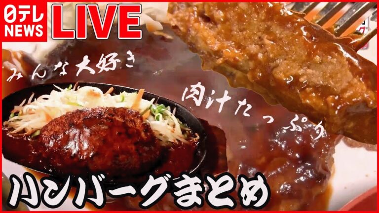 【ハンバーグまとめ】肉汁あふれるハンバーグ/  デミグラスソースが自慢の老舗洋食店/ 高級店のお得なランチ など（日テレNEWS LIVE）