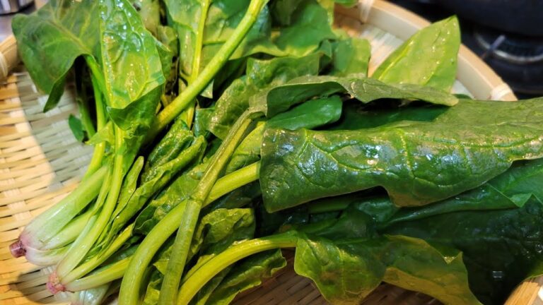 簡単で1番旨いほうれん草の胡麻和え 作り置き 人気レシピ