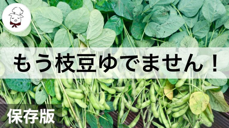 枝豆をゆでるより美味しく時短で簡単！下処理一切不要で旨味も栄養もアップ↑ふっくら仕上がる蒸し煮は1㎝のお湯があればそれで〇｜おいしい枝豆のゆで方でビールもすすむ！ズボラ飯｜料理研究家　料理教室の先生