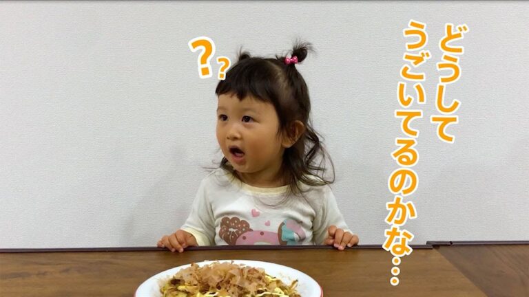 ゆらゆら動くかつお節を見た子供たちの反応は・・・!?