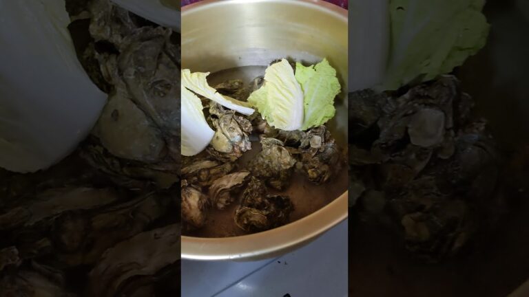 牡蠣と白菜の鍋🍲