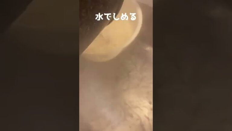 胡麻豆乳そうめん作ってもろた #Shorts #そうめん #レシピ